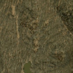Satellite imagery of Lee Brown Ridge, US