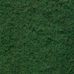 Satellite imagery of Copperas Mountain, US