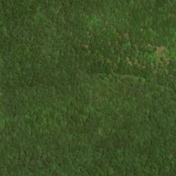 Satellite imagery of Patterson Creek Mountain, US