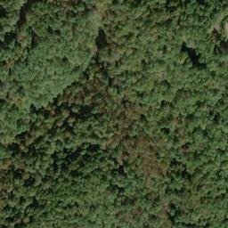 Satellite imagery of MAXWELL — NGS JX1950 — Doddridge County, US, US