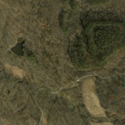 Satellite imagery of Goldenrod Point, US