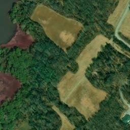 Satellite imagery of Sedgy Point, US