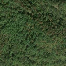 Satellite imagery of EGYPT — NGS JX1909 — Barbour County, US, US