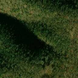 Satellite imagery of South Branch Mountain, US