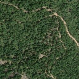 Satellite imagery of Lake Ridge, US