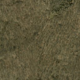 Satellite imagery of Louden Ridge, US