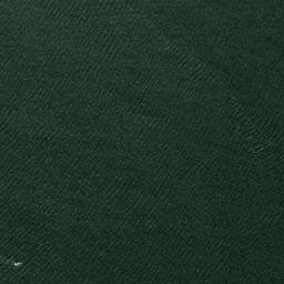 Satellite imagery of Sparrows Point, US