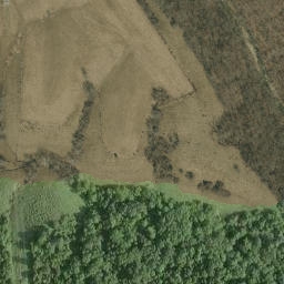 Satellite imagery of Mount Pleasant Ridge, US