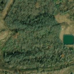 Satellite imagery of Z 1 — NGS JX0217 — Barbour County, US, US