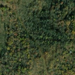 Satellite imagery of Z 1 — NGS JX0217 — Barbour County, US, US