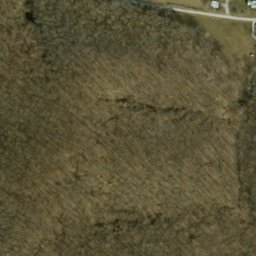 Satellite imagery of Pine Bluff, US