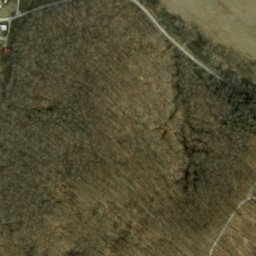 Satellite imagery of Pine Bluff, US