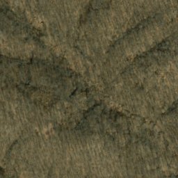 Satellite imagery of Bill Jack Ridge, US