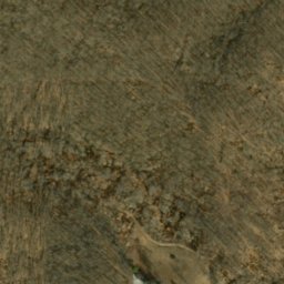 Satellite imagery of Pine Bluff, US