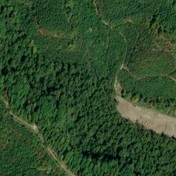 Satellite imagery of Buzzard Rock, US