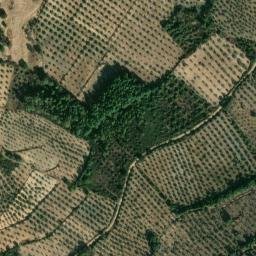 Satellite imagery of survey_point, PT