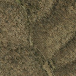 Satellite imagery of Pleasant Ridge, US
