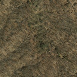 Satellite imagery of Pleasant Ridge, US