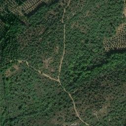 Satellite imagery of survey_point, PT