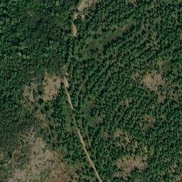 Satellite imagery of Forest Hill Divide, US