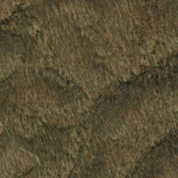 Satellite imagery of Five Points, US