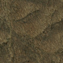 Satellite imagery of Five Points, US