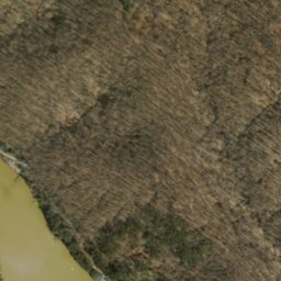 Satellite imagery of Pleasant Ridge, US