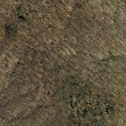 Satellite imagery of Pleasant Ridge, US