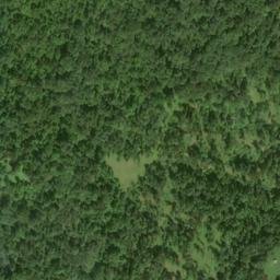 Satellite imagery of Locust Ridge, US