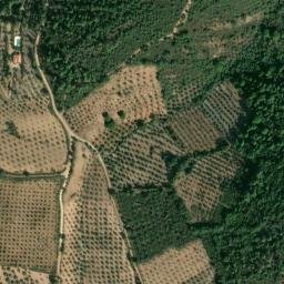 Satellite imagery of survey_point, PT