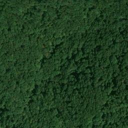 Satellite imagery of Mitchell Ridge, US