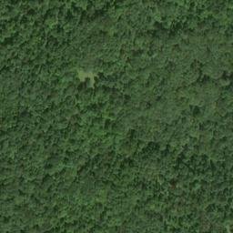 Satellite imagery of Locust Ridge, US