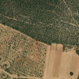 Satellite imagery of survey_point, PT