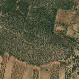 Satellite imagery of survey_point, PT