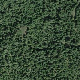 Satellite imagery of Bear Pen Ridge, US