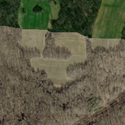 Satellite imagery of Kelley Ridge, US