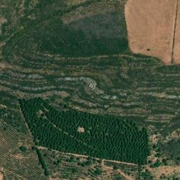 Satellite imagery of survey_point, PT