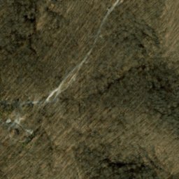 Satellite imagery of Taylor Ridge, US