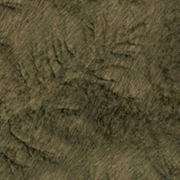 Satellite imagery of Hohen Point, US