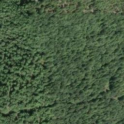 Satellite imagery of Greenwood Ridge, US