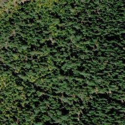 Satellite imagery of Chalk Bluff, US