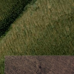 Satellite imagery of Bear Ridge, US
