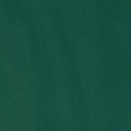 Satellite imagery of Bodkin Point, US