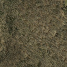 Satellite imagery of Poplar Ridge, US