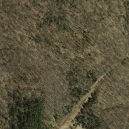 Satellite imagery of Poplar Ridge, US