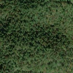 Satellite imagery of LEOPOLD — NGS JX1954 — Doddridge County, US, US