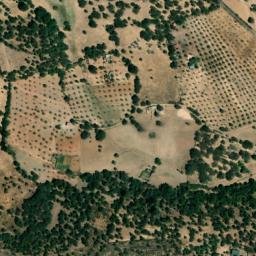 Satellite imagery of survey_point, PT