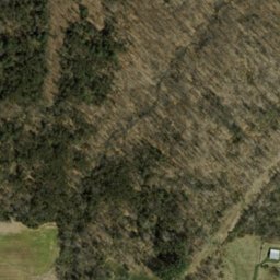 Satellite imagery of Poplar Ridge, US