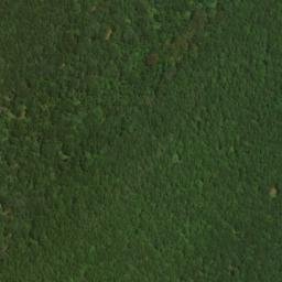 Satellite imagery of Timber Ridge, US