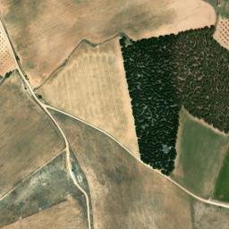 Satellite imagery of survey_point, ES
